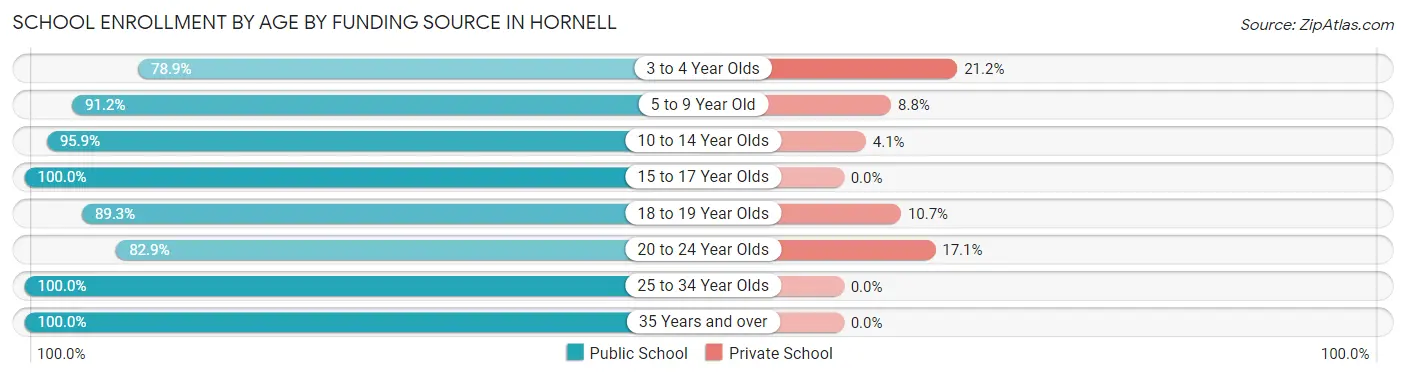 School Enrollment by Age by Funding Source in Hornell
