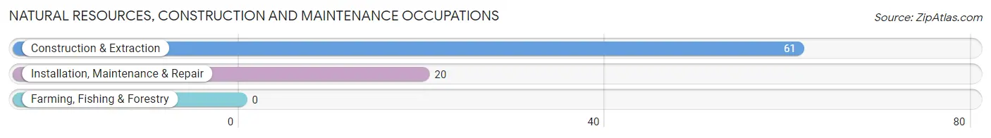 Natural Resources, Construction and Maintenance Occupations in Horseheads