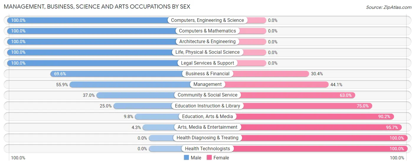 Management, Business, Science and Arts Occupations by Sex in Hudson Falls