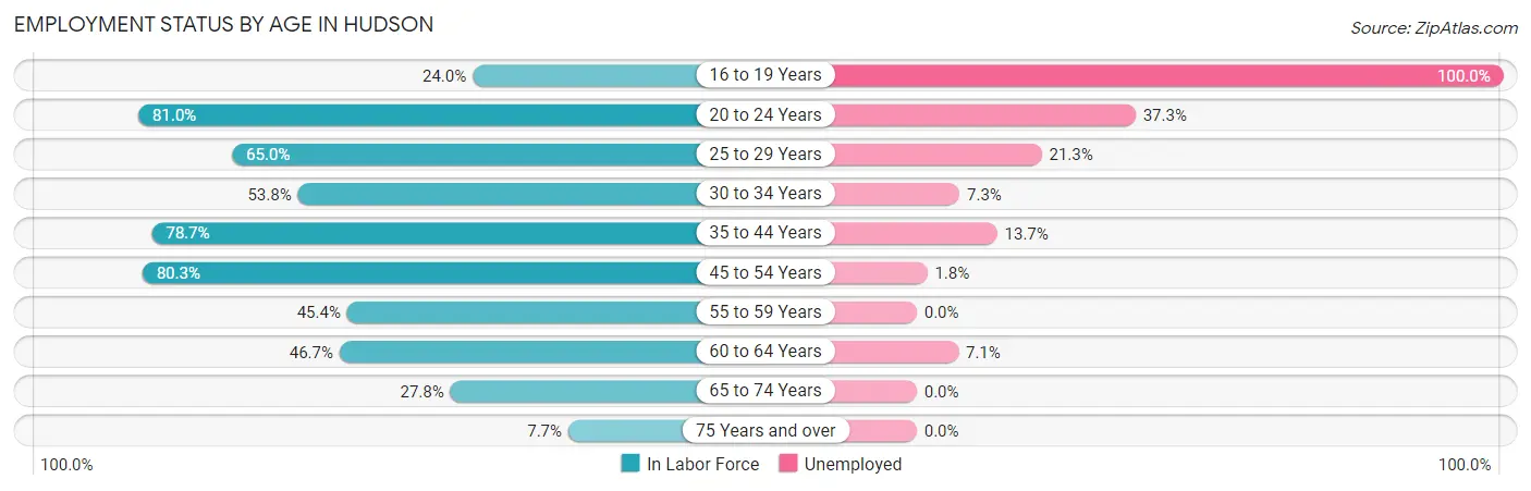 Employment Status by Age in Hudson