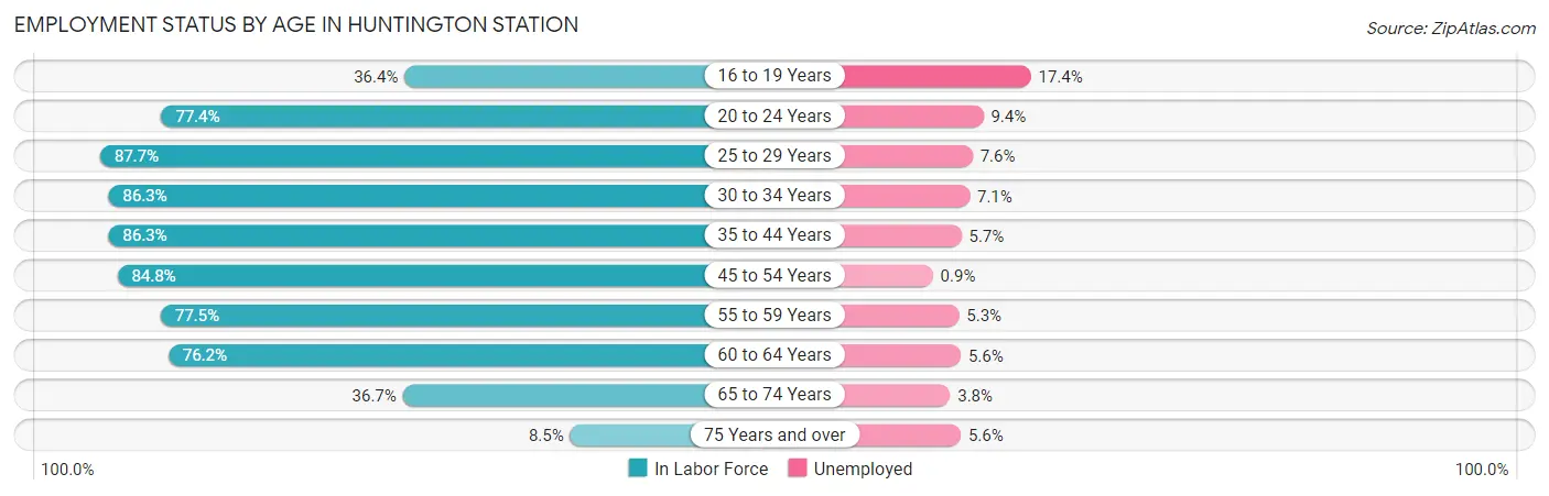 Employment Status by Age in Huntington Station