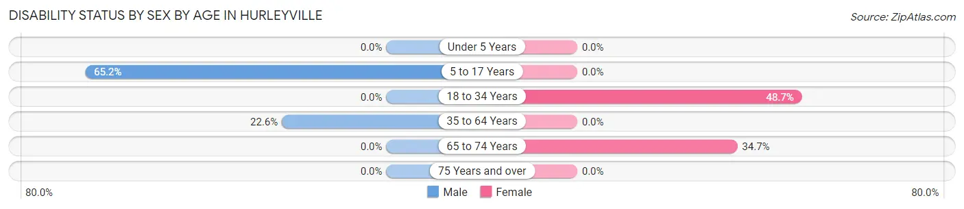 Disability Status by Sex by Age in Hurleyville