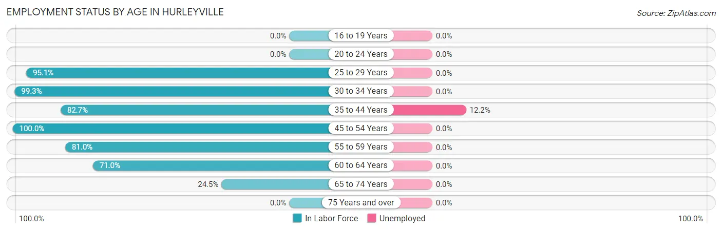 Employment Status by Age in Hurleyville