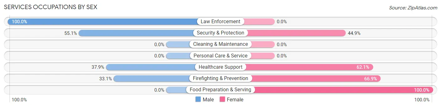 Services Occupations by Sex in Hyde Park