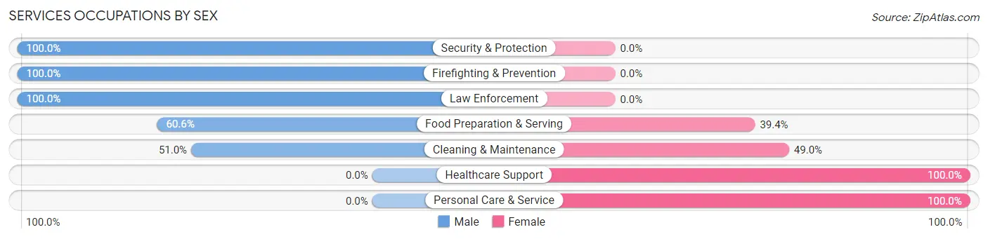 Services Occupations by Sex in Island Park