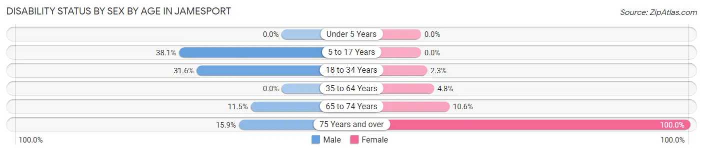 Disability Status by Sex by Age in Jamesport