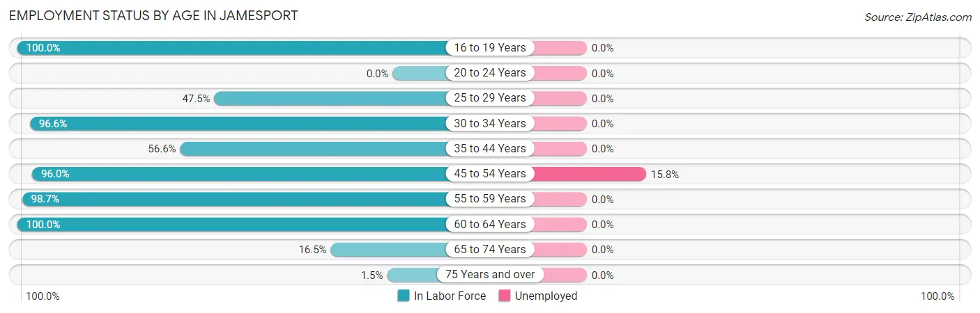 Employment Status by Age in Jamesport