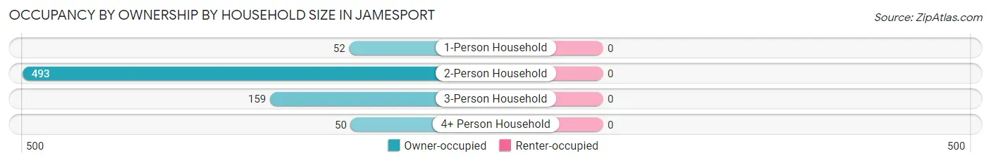 Occupancy by Ownership by Household Size in Jamesport