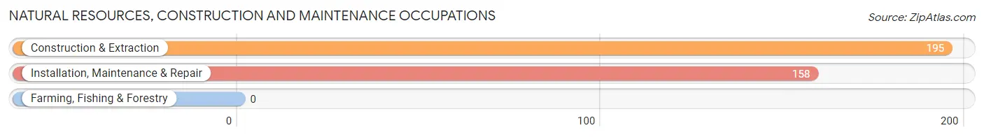 Natural Resources, Construction and Maintenance Occupations in Jefferson Valley Yorktown