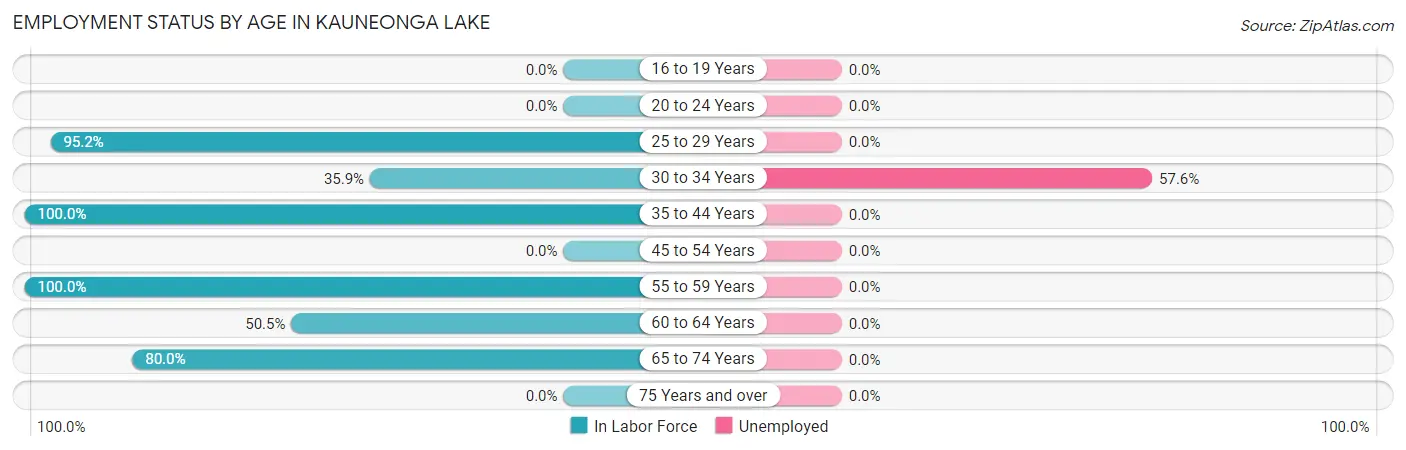 Employment Status by Age in Kauneonga Lake