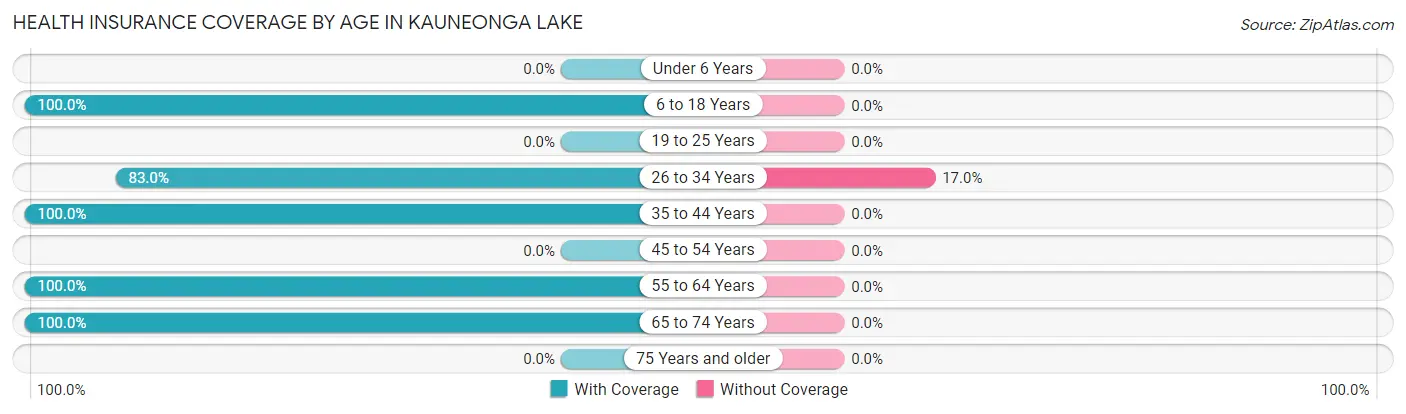 Health Insurance Coverage by Age in Kauneonga Lake