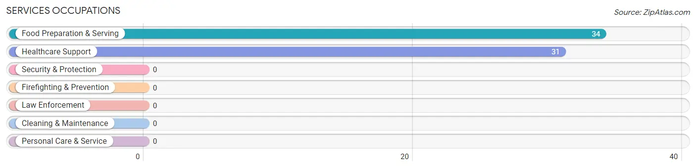 Services Occupations in Kauneonga Lake