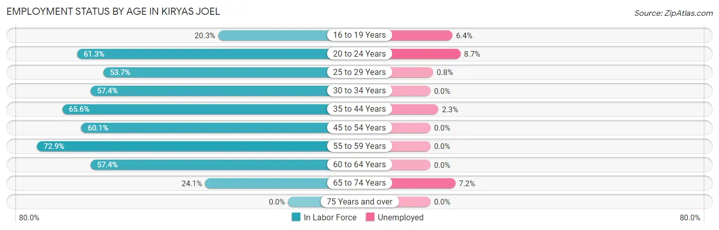 Employment Status by Age in Kiryas Joel