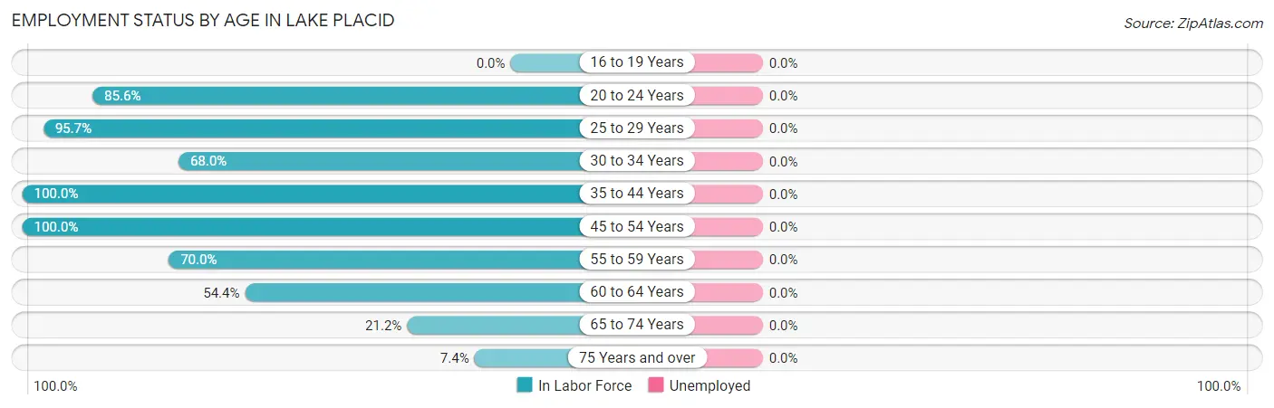 Employment Status by Age in Lake Placid