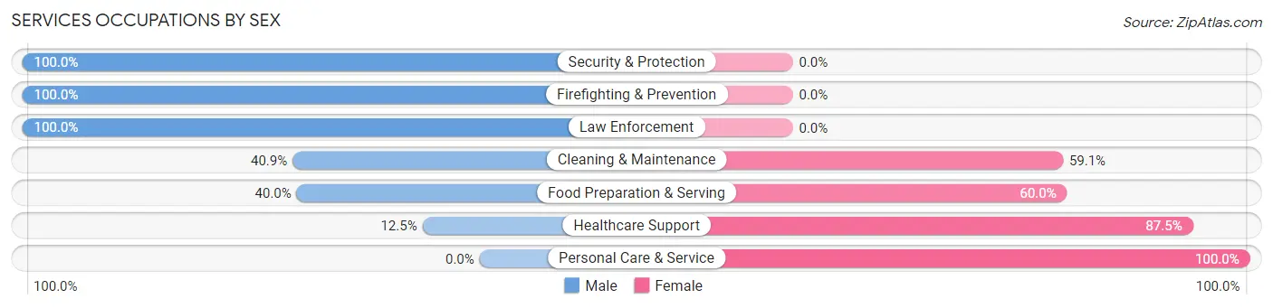 Services Occupations by Sex in Leicester