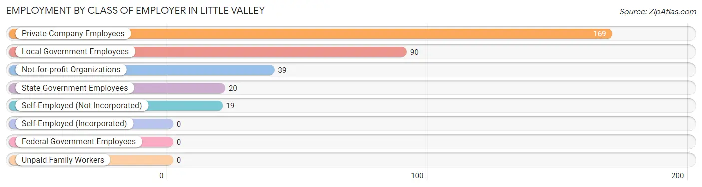 Employment by Class of Employer in Little Valley