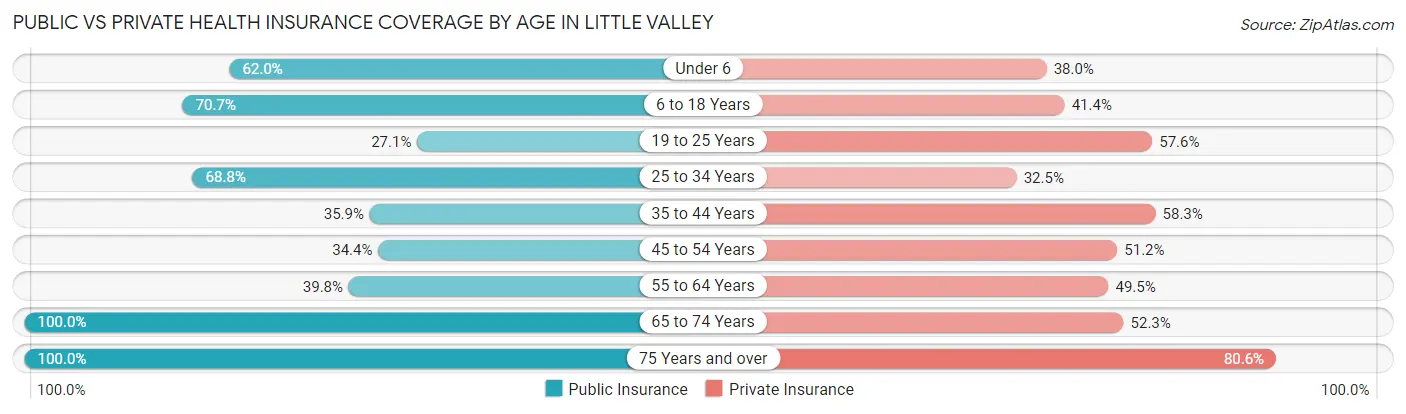 Public vs Private Health Insurance Coverage by Age in Little Valley