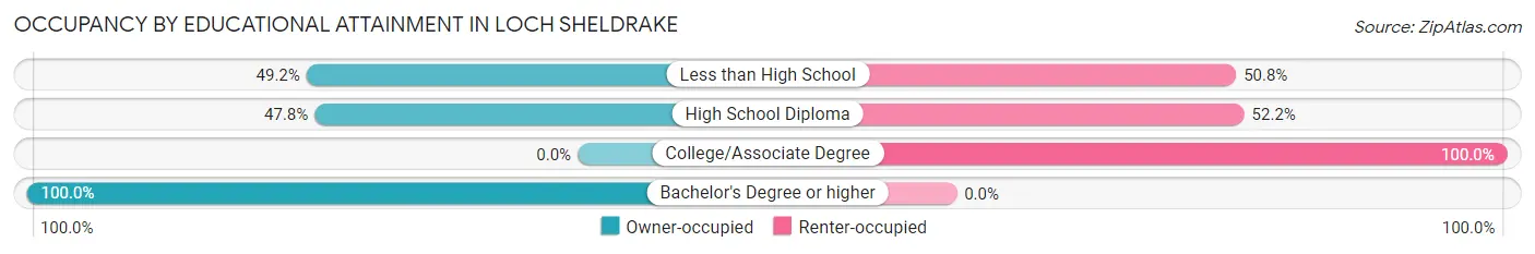 Occupancy by Educational Attainment in Loch Sheldrake