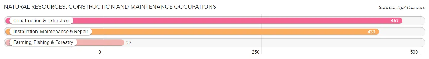 Natural Resources, Construction and Maintenance Occupations in Lockport