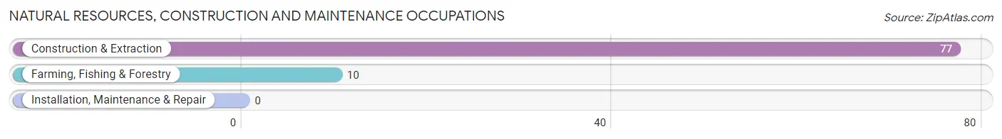 Natural Resources, Construction and Maintenance Occupations in Locust Valley