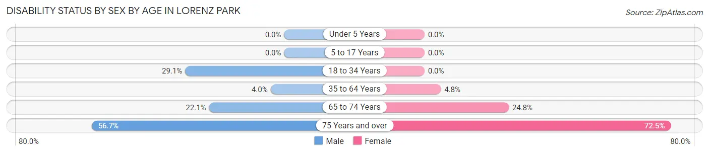 Disability Status by Sex by Age in Lorenz Park