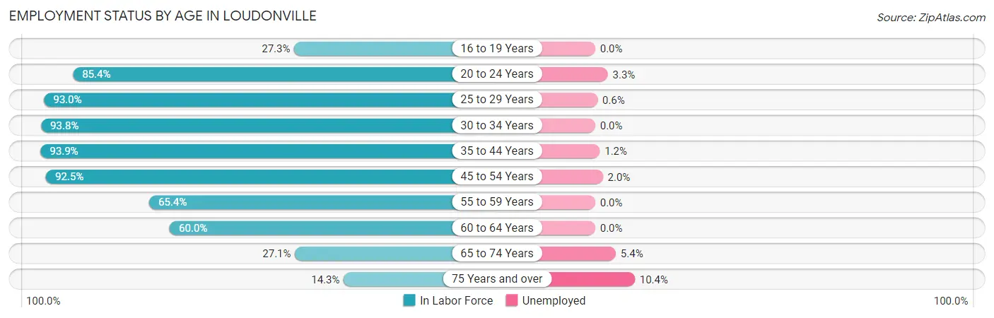 Employment Status by Age in Loudonville