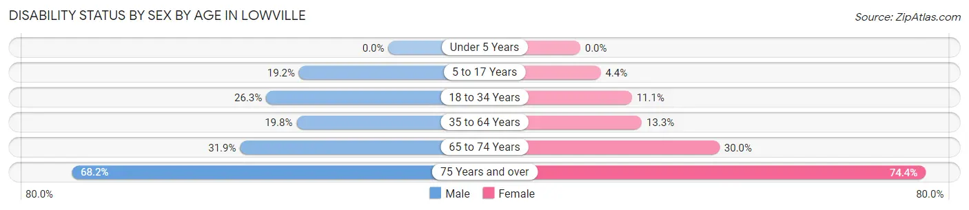 Disability Status by Sex by Age in Lowville
