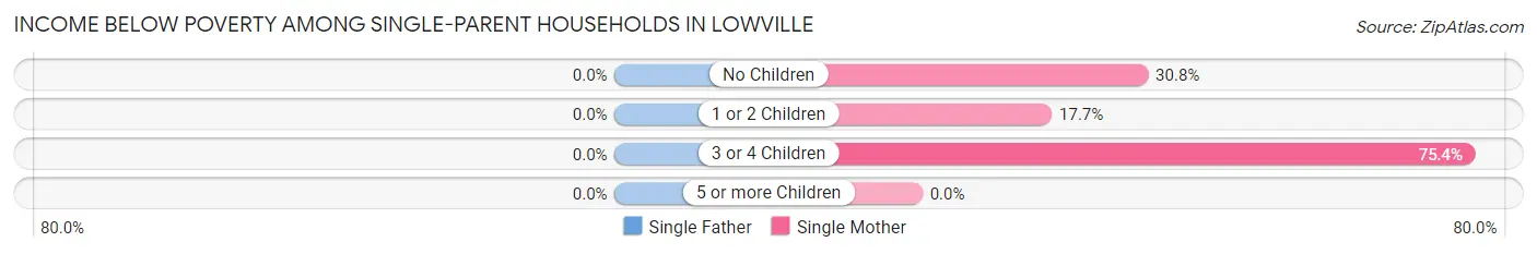 Income Below Poverty Among Single-Parent Households in Lowville