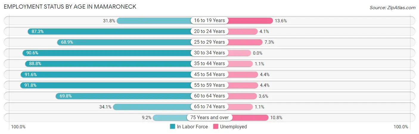 Employment Status by Age in Mamaroneck