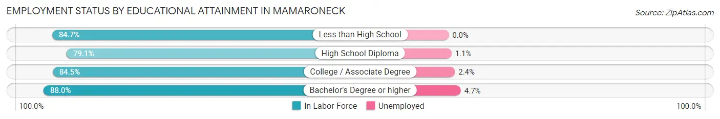 Employment Status by Educational Attainment in Mamaroneck