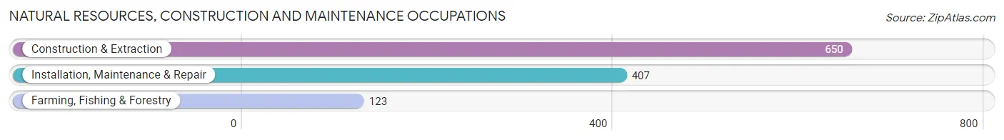 Natural Resources, Construction and Maintenance Occupations in Mamaroneck