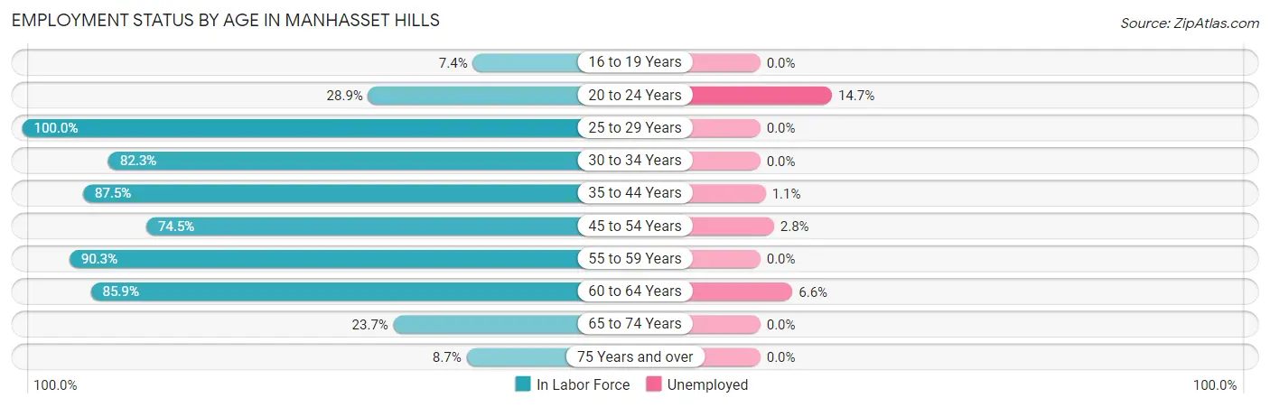 Employment Status by Age in Manhasset Hills