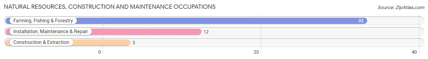 Natural Resources, Construction and Maintenance Occupations in Manhasset