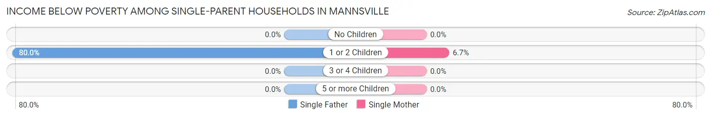 Income Below Poverty Among Single-Parent Households in Mannsville