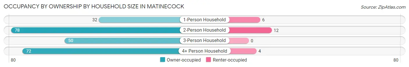 Occupancy by Ownership by Household Size in Matinecock