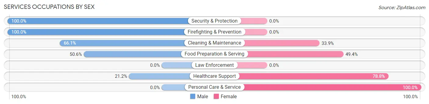 Services Occupations by Sex in Mechanicville