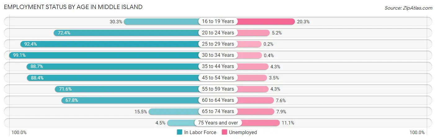 Employment Status by Age in Middle Island
