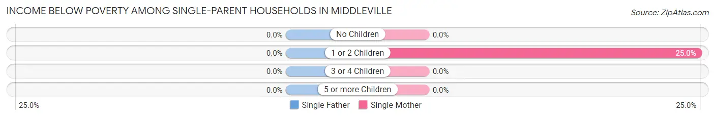 Income Below Poverty Among Single-Parent Households in Middleville