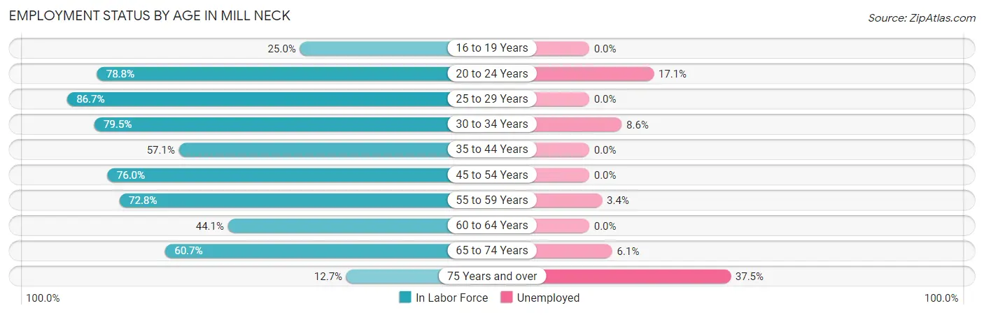 Employment Status by Age in Mill Neck