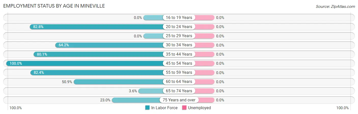 Employment Status by Age in Mineville