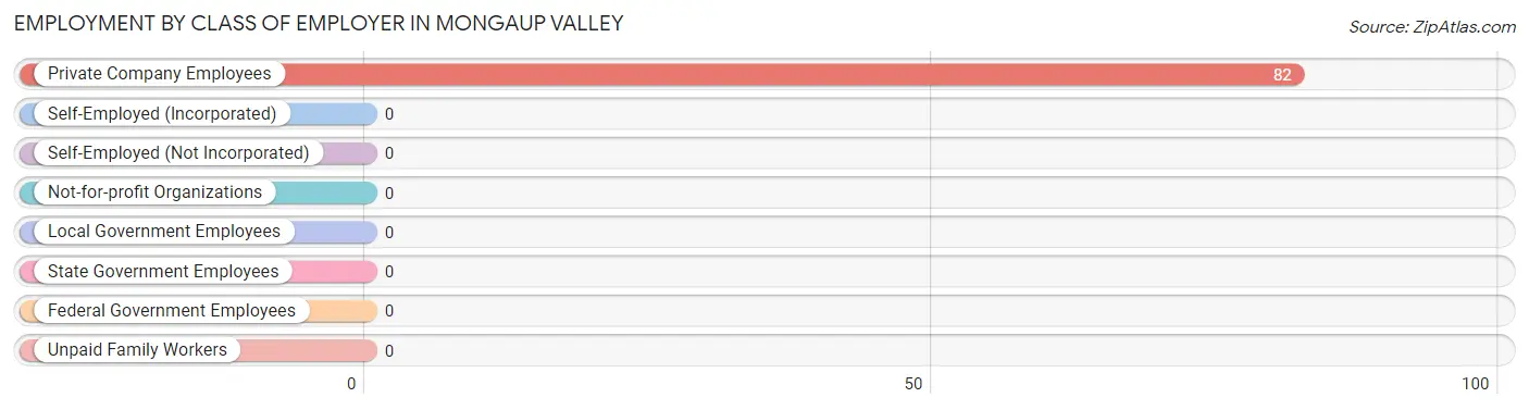 Employment by Class of Employer in Mongaup Valley