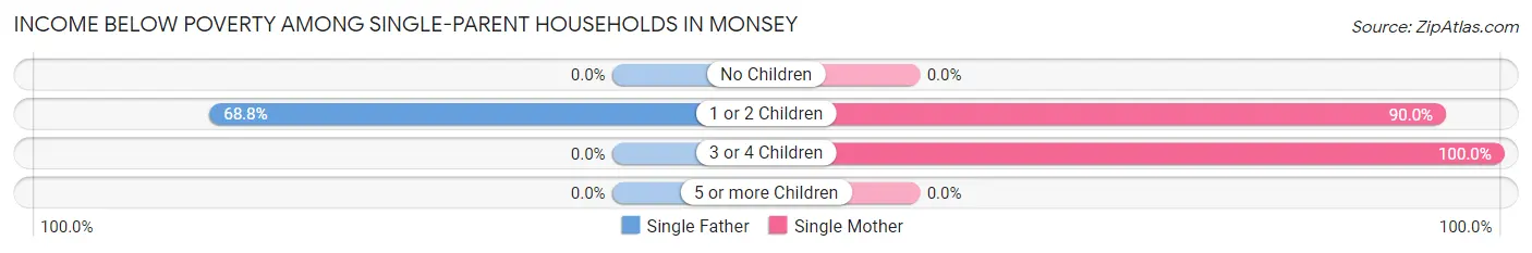 Income Below Poverty Among Single-Parent Households in Monsey