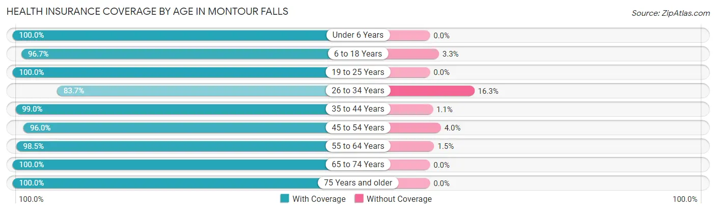 Health Insurance Coverage by Age in Montour Falls