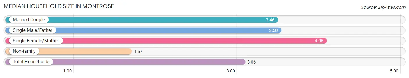 Median Household Size in Montrose