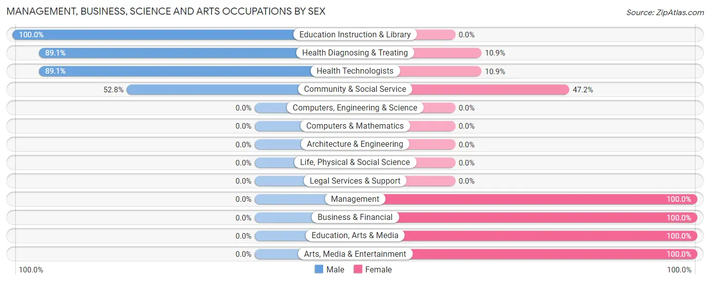 Management, Business, Science and Arts Occupations by Sex in Morris