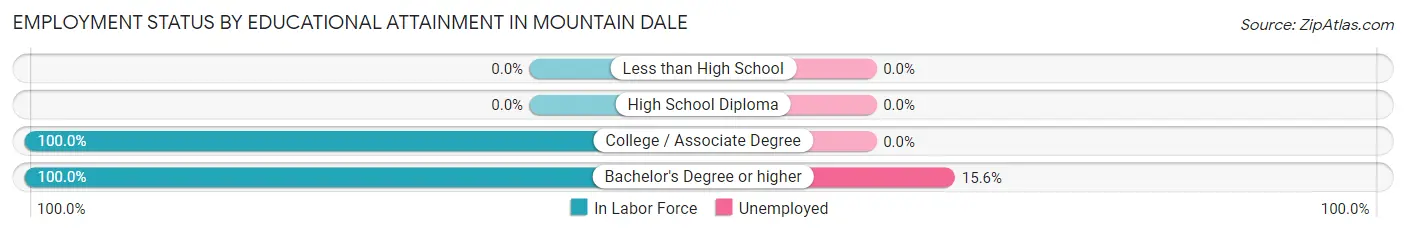 Employment Status by Educational Attainment in Mountain Dale