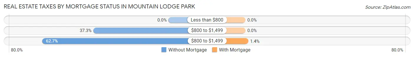 Real Estate Taxes by Mortgage Status in Mountain Lodge Park