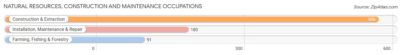 Natural Resources, Construction and Maintenance Occupations in Nanuet