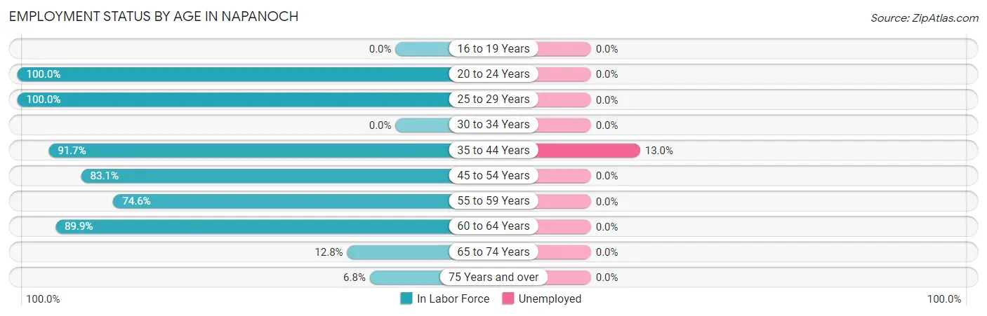 Employment Status by Age in Napanoch