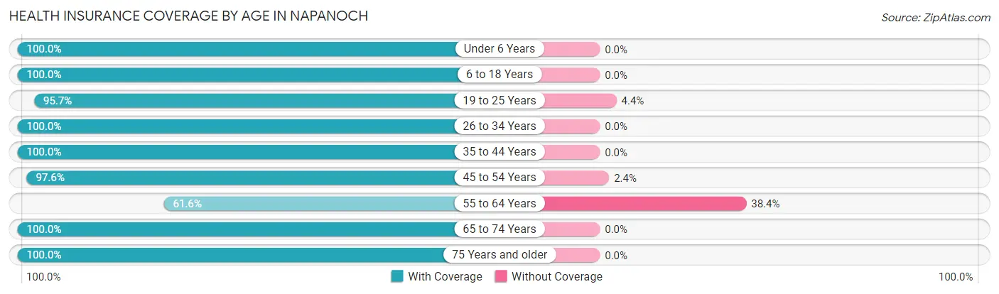 Health Insurance Coverage by Age in Napanoch